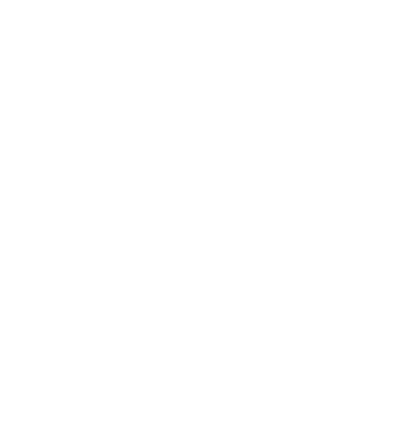 Estructura Capital